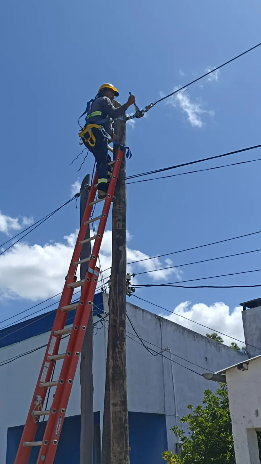 Telecomunicaciones — Tendanix S.A.